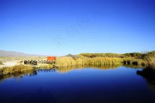 水，游泳池，碧水，湖