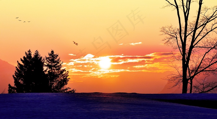 日出，阳光，Morgenstimmung，天空，天空，树木