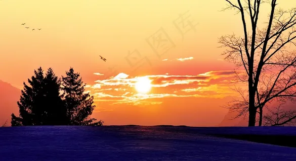 日出,阳光,Morgenstimmung,天空,天空,树木 日出,阳光,Morgenstimmung,天空,天空,树木