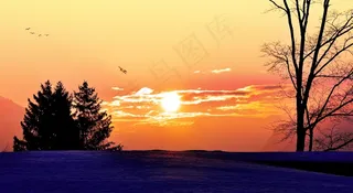 日出，阳光，Morgenstimmung，天空，天空，树木