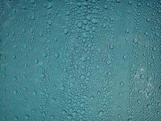 水滴，凝结，图案，起雾，圆盘