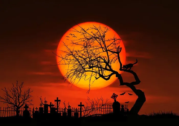 月亮，夜晚，满月，Gespenstig，神秘，午夜