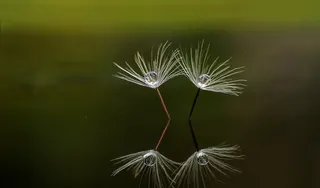 宏，自然，倒影，美丽，几点思考