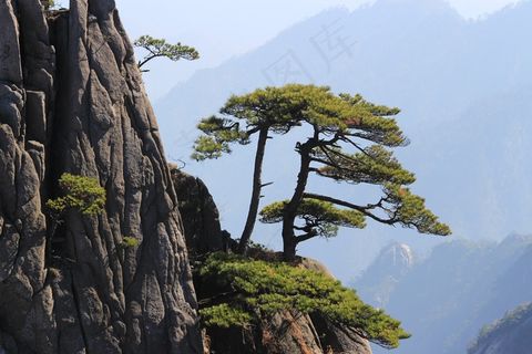 中国，黄山，山，景观，岩