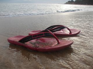 露宿者，海滩，海，美丽的海滩，沙滩，海洋