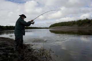 渔夫，钓鱼者，钓鱼，河流，钓鱼，活动