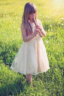 人，人的，女孩，长笛，音乐，草地，性质，出