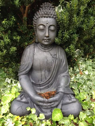 佛，花园，佛教，禅宗，冥想，精神