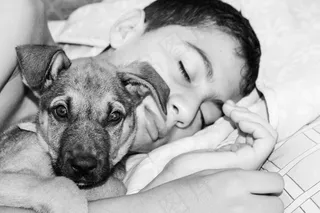 睡觉，狗，孩子