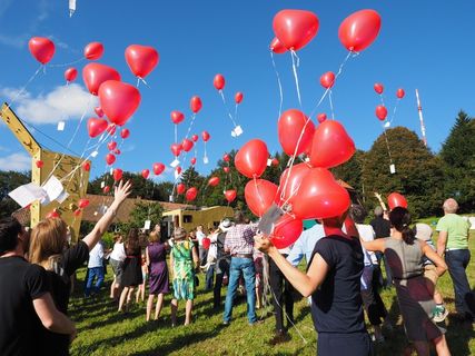 气球，飞，婚礼，祝贺，祝贺