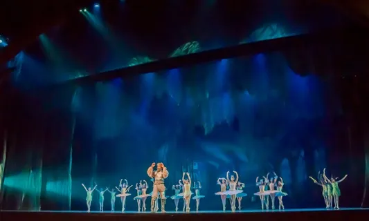 芭蕾舞，表演，唐吉x德，芭蕾舞女演员，舞者