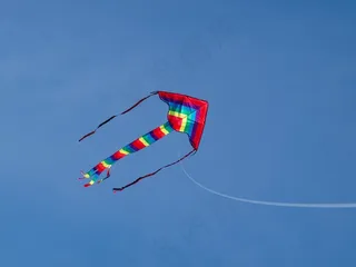 低角度观的多彩龙像空气中的风筝