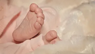 脚，脚，婴儿的脚，婴儿，十，渺小，甜，可爱