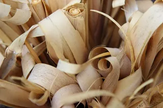 色拉，干成分，欧亚甘草，开花植物