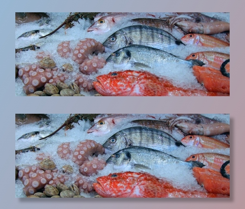 鱼，鱿鱼，章鱼，贻贝，鱿鱼，开胃