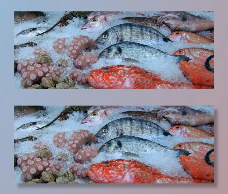 鱼，鱿鱼，章鱼，贻贝，鱿鱼，开胃
