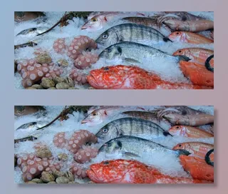 鱼，鱿鱼，章鱼，贻贝，鱿鱼，开胃