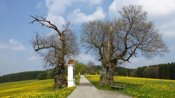 阿尔高，春天，乔治山，十字架之路