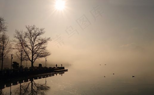 雾，太阳，景观，心情，日出，朝阳，自然