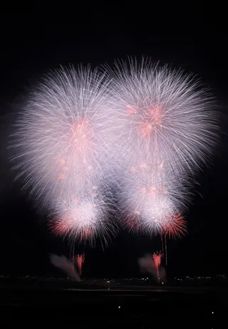 烟花，新年，爆炸，现场，繁荣，庆祝