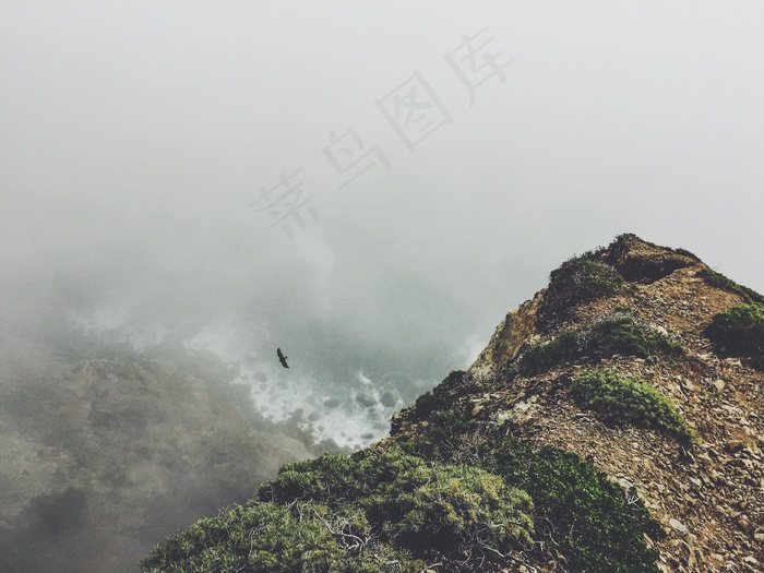 放飞,山峦,长城,云雾,树,大自然鸟悬崖深
