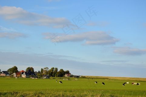 全景，荷兰，景观，荒野，风景