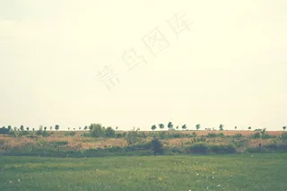 景观，农村，草地，原野，草，树木