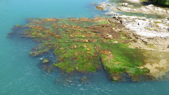 阿尔高，莱希布鲁克，莱希，水，江，岩，冷