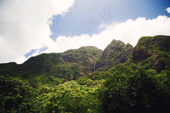 山，郁郁葱葱，植被，绿色，增长，自然