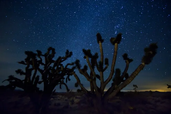 银河，星星，夜，天空，景观，沙漠，仙人掌