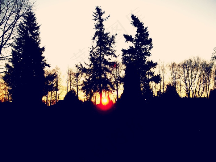 剪影，自然，风景，太阳，日落