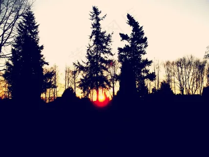 剪影,自然,风景,太阳,日落 剪影,自然,风景,太阳,日落