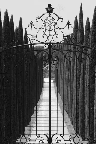 端口，网关，柏树，树木