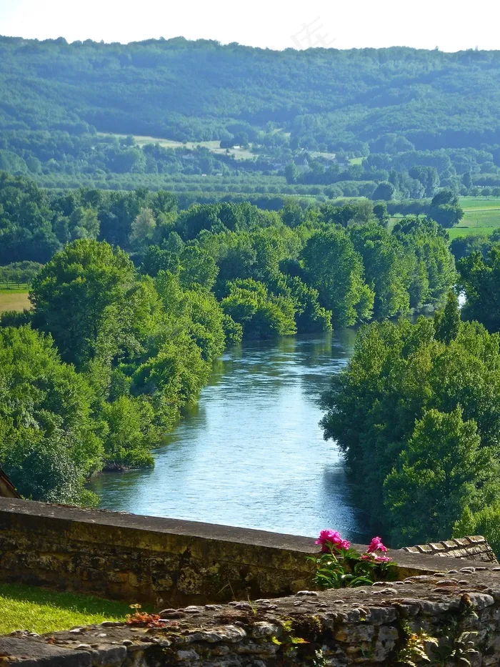 江，花，红色，盛开，意见，景观，Εκδηλώσεις