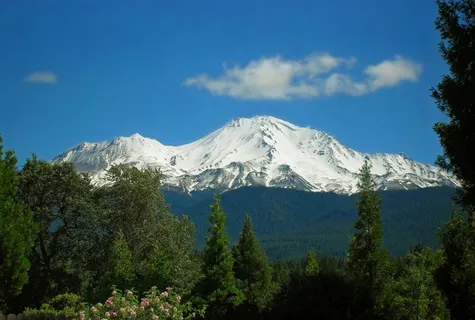 沙斯塔山,树木,蓝色,绿色,景观,山 沙斯塔山,树木,蓝色,绿色,景观,山
