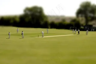 ,园林景观,体育场馆,树,风景,微型板球