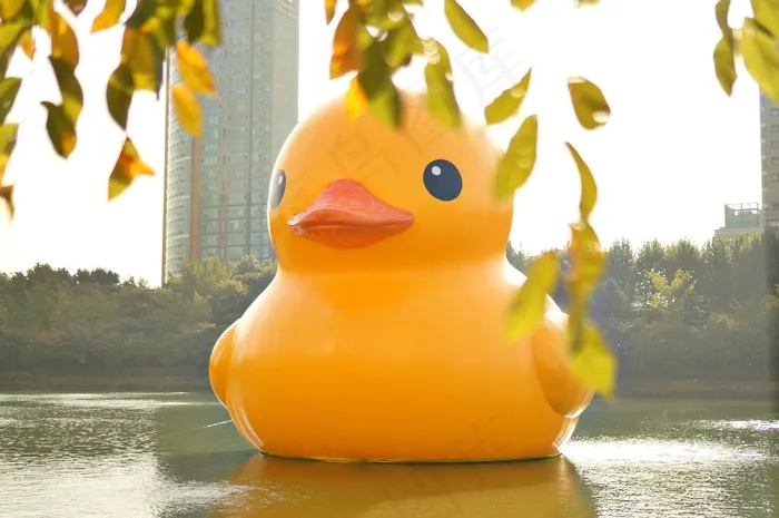 橡皮鸭，鸭子，娃娃