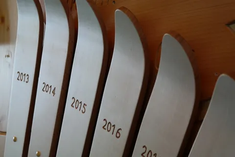 滑雪，滑雪，奖杯，优胜者，奖，比赛