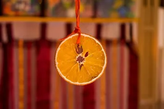 橙子，塔伦哈，秋天