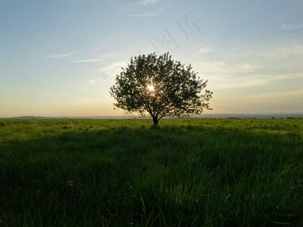 奥尔库斯，波兰，景观，日落