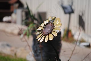 向日葵，金属，铁，黄色，装饰，花园