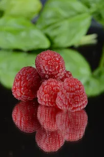 覆盆子,水果,镜子,镜像,对比度 覆盆子,水果,镜子,镜像,对比度