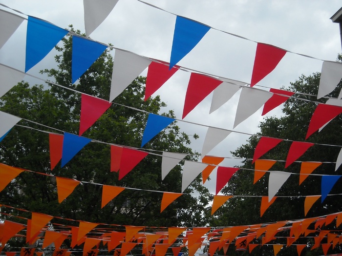 树木和喜怒无常的天空锦旗