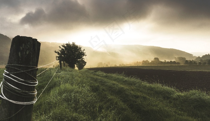 篱笆，农村，田野，农场，农村，阳光