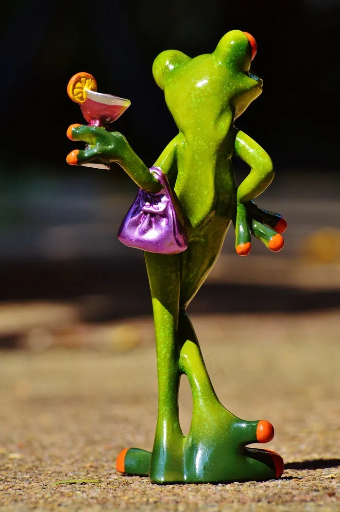 青蛙，小鸡，女士，傲慢，鸡尾酒，搞笑