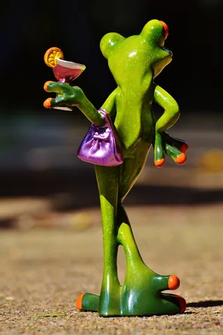 青蛙，小鸡，女士，傲慢，鸡尾酒，搞笑
