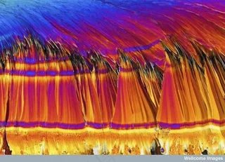 B0009766 LM人造甜味剂糖精晶体