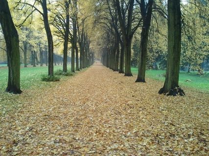 秋天，波茨坦，无忧宫，克劳斯贝格