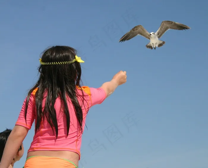 海鸥，小女孩，鸟，儿童，海滩，海，岛