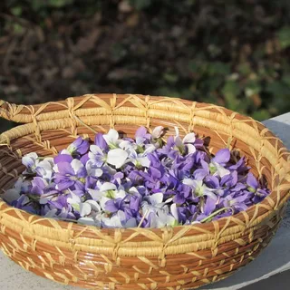 花瓣,篮子,紫罗兰色,花,开花,紫色,白色 花瓣,篮子,紫罗兰色,花,开花,紫色,白色